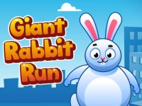 Giant Rabbit Run