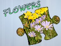 Jigsaw Puzzle: Flowers