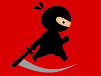 Mr Ninja Fighter