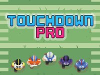 Touchdown Pro