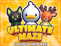 Ultimate maze! Collect them all!